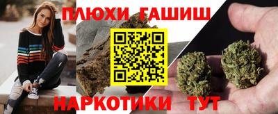 бошки Будённовск