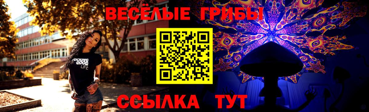 Галлюциногенные грибы Psilocybine cubensis  Вход с VPN  Сердобск  Псилоцибиновые грибы прущие грибы 